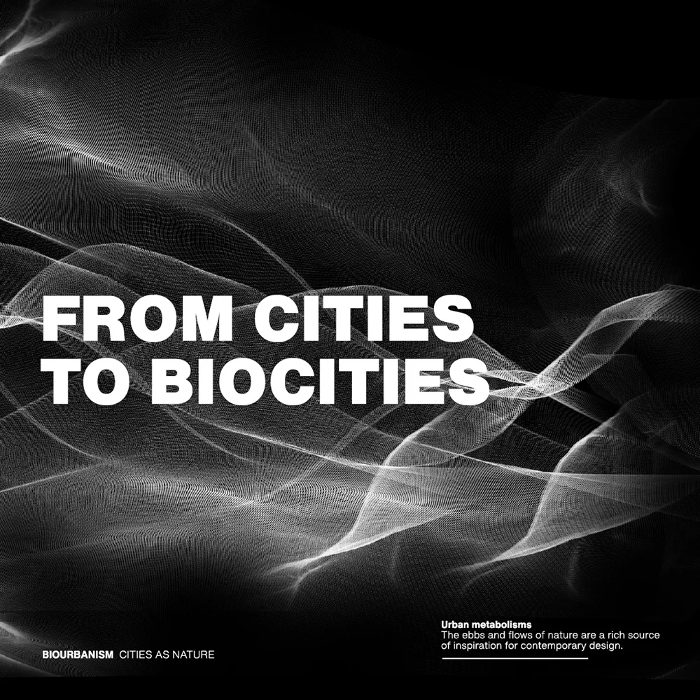 COG Branding Project Biourbanism