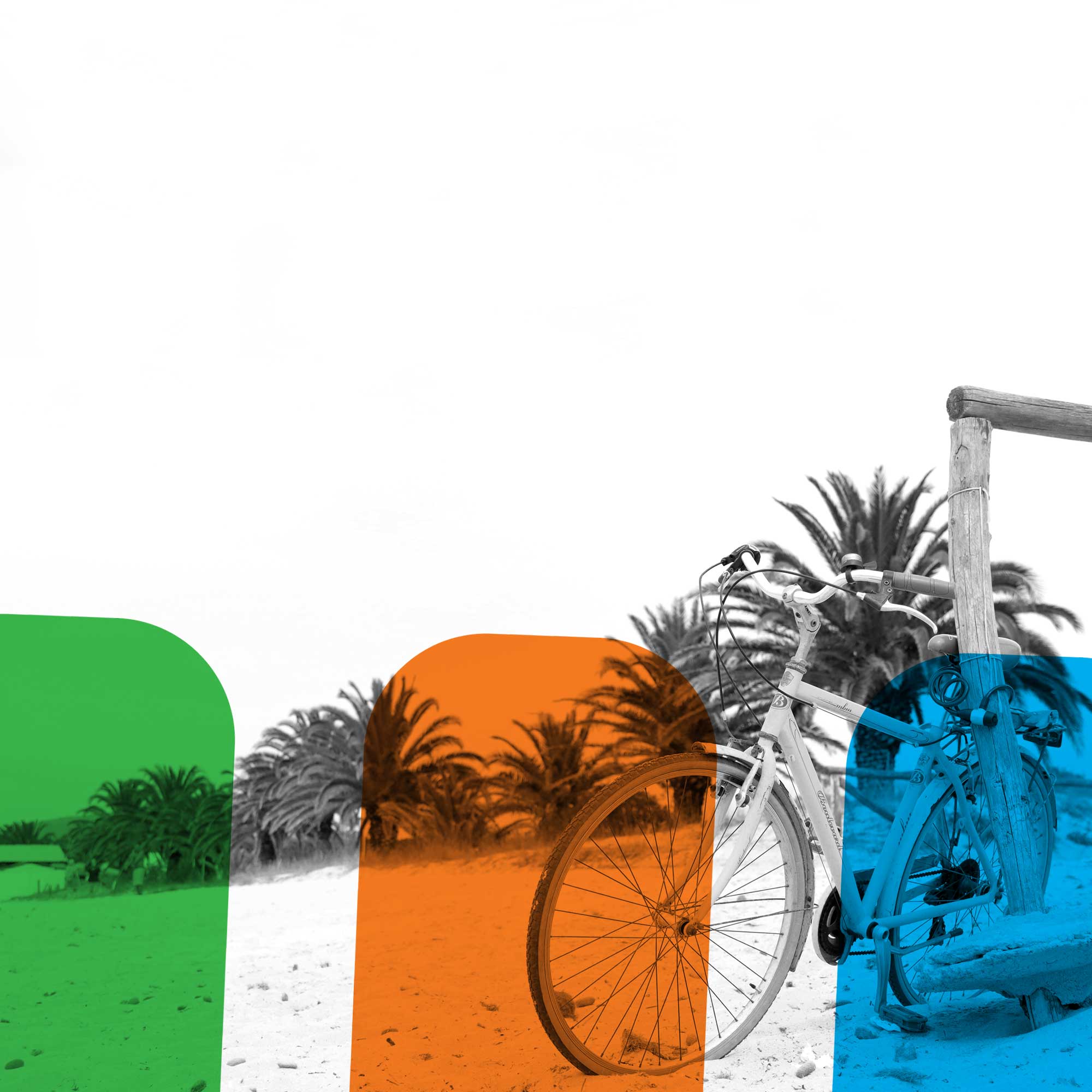 COG-Marketing-Agency-Sydney-Cronulla_1